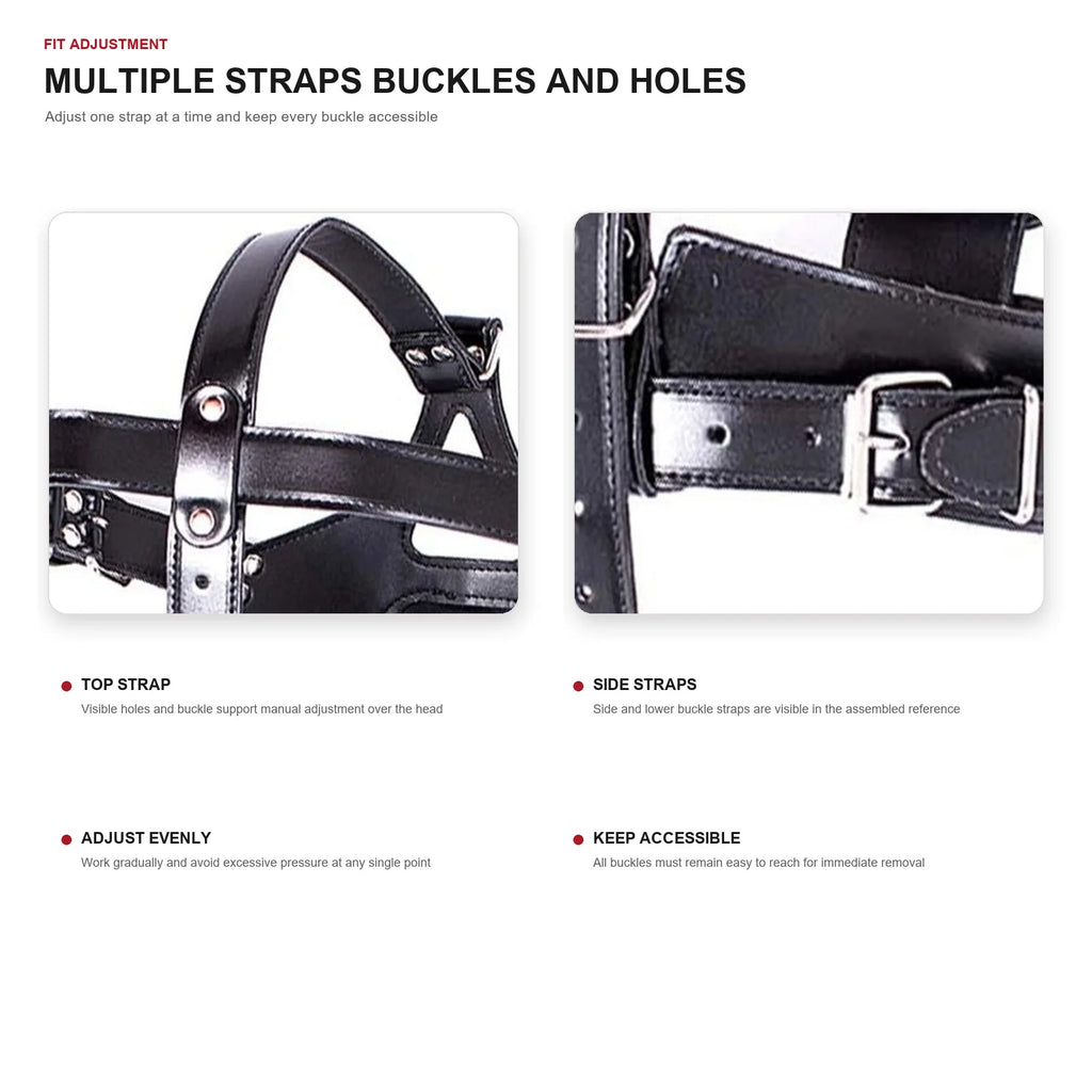 Head Harness Dildo Gag Mask with Removable Insert – image 5